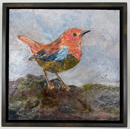 European Robin
