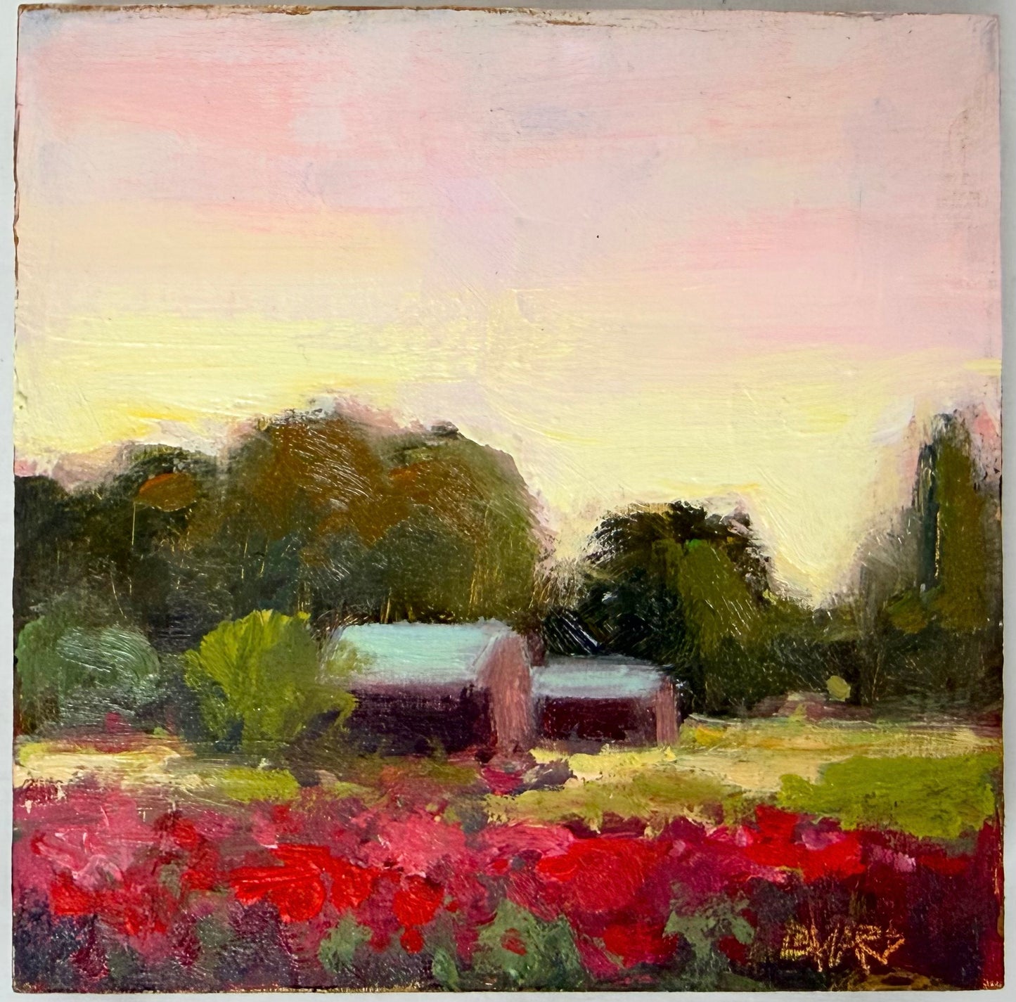 Sunset In Montaray Poppies