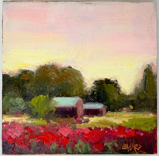 Sunset In Montaray Poppies