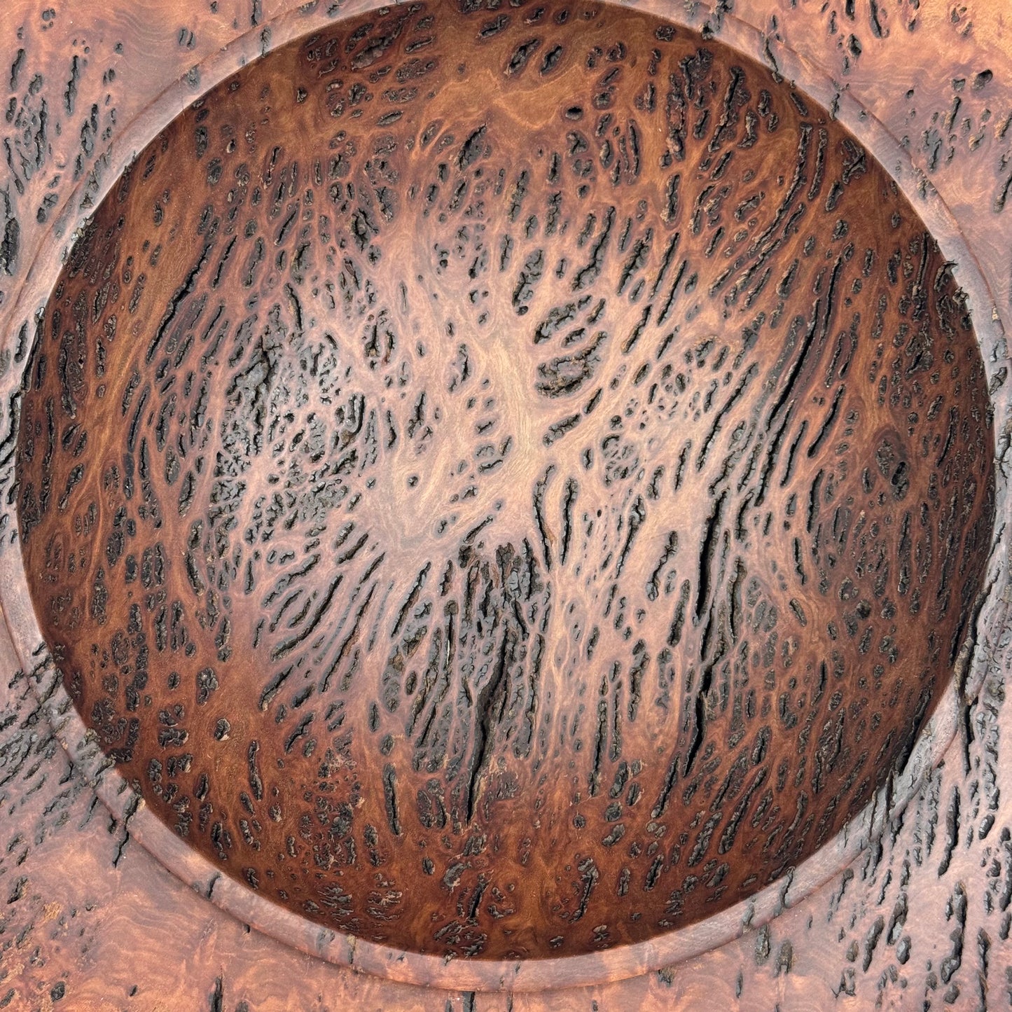 Live Edge Bowl Gimlet Burl