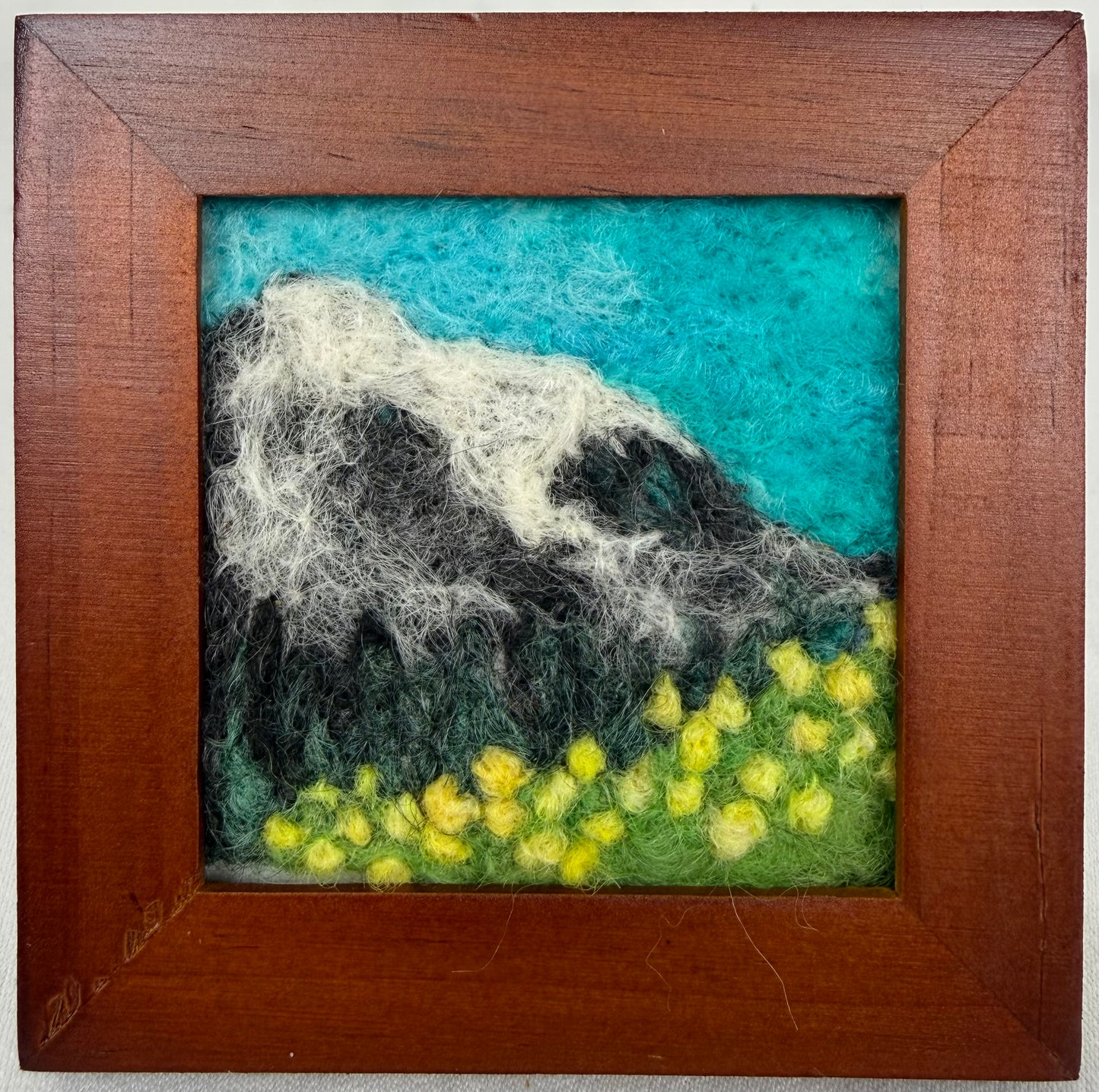 Snow Covered Slopes 3