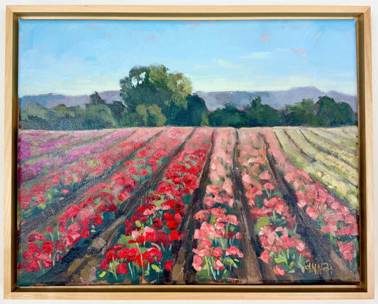 Wasco Rose Field