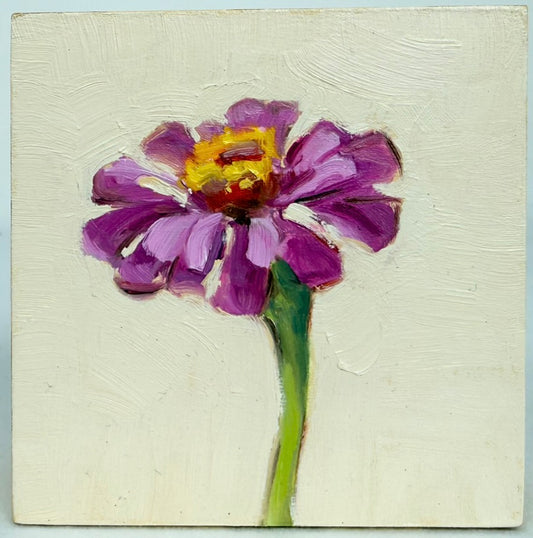 Little Zinnia