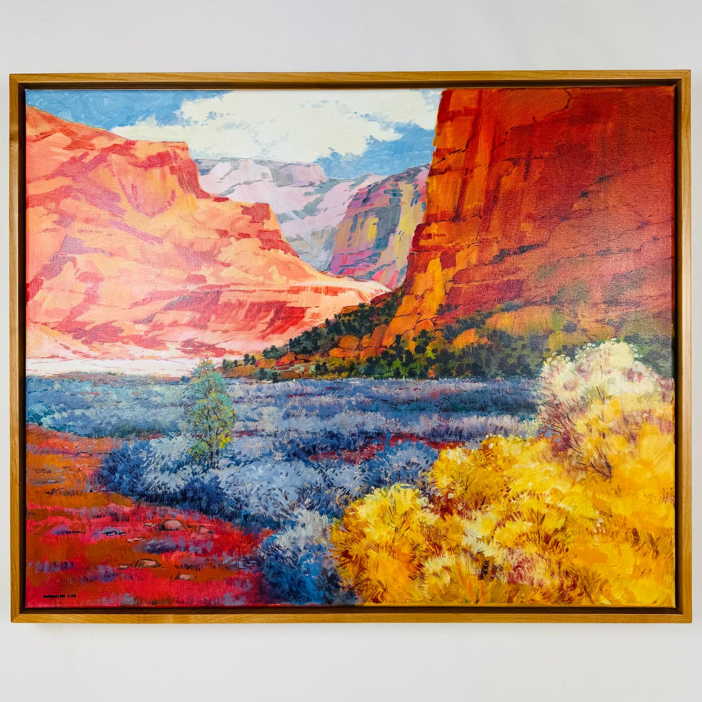 Canyon De Chelly #1