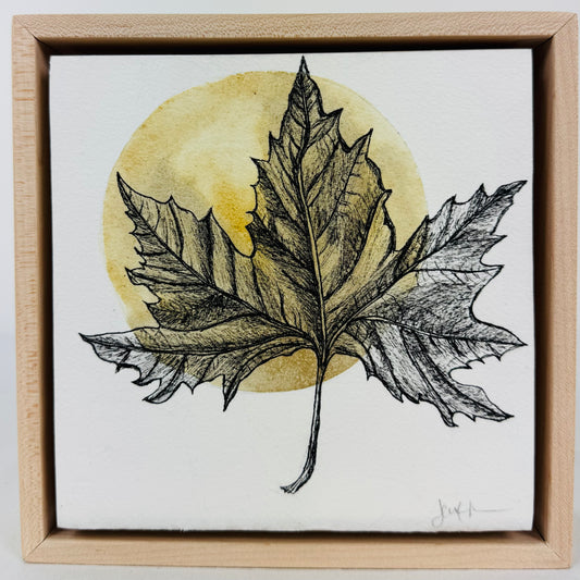 Maple Leaf