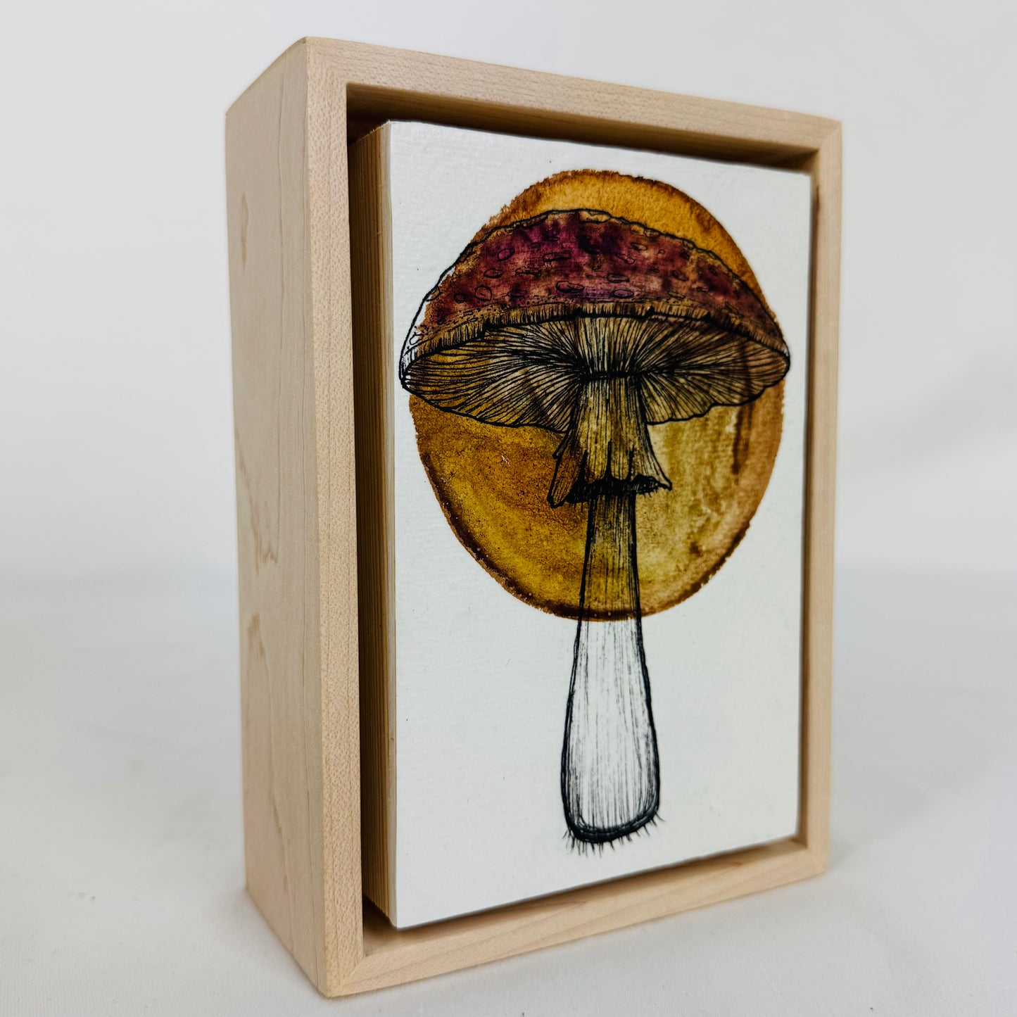Whimsical Fungi