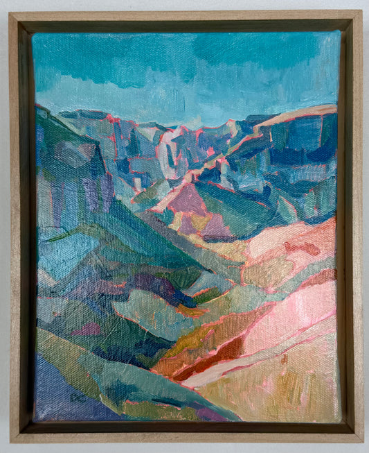 Canyon Contrast Zions