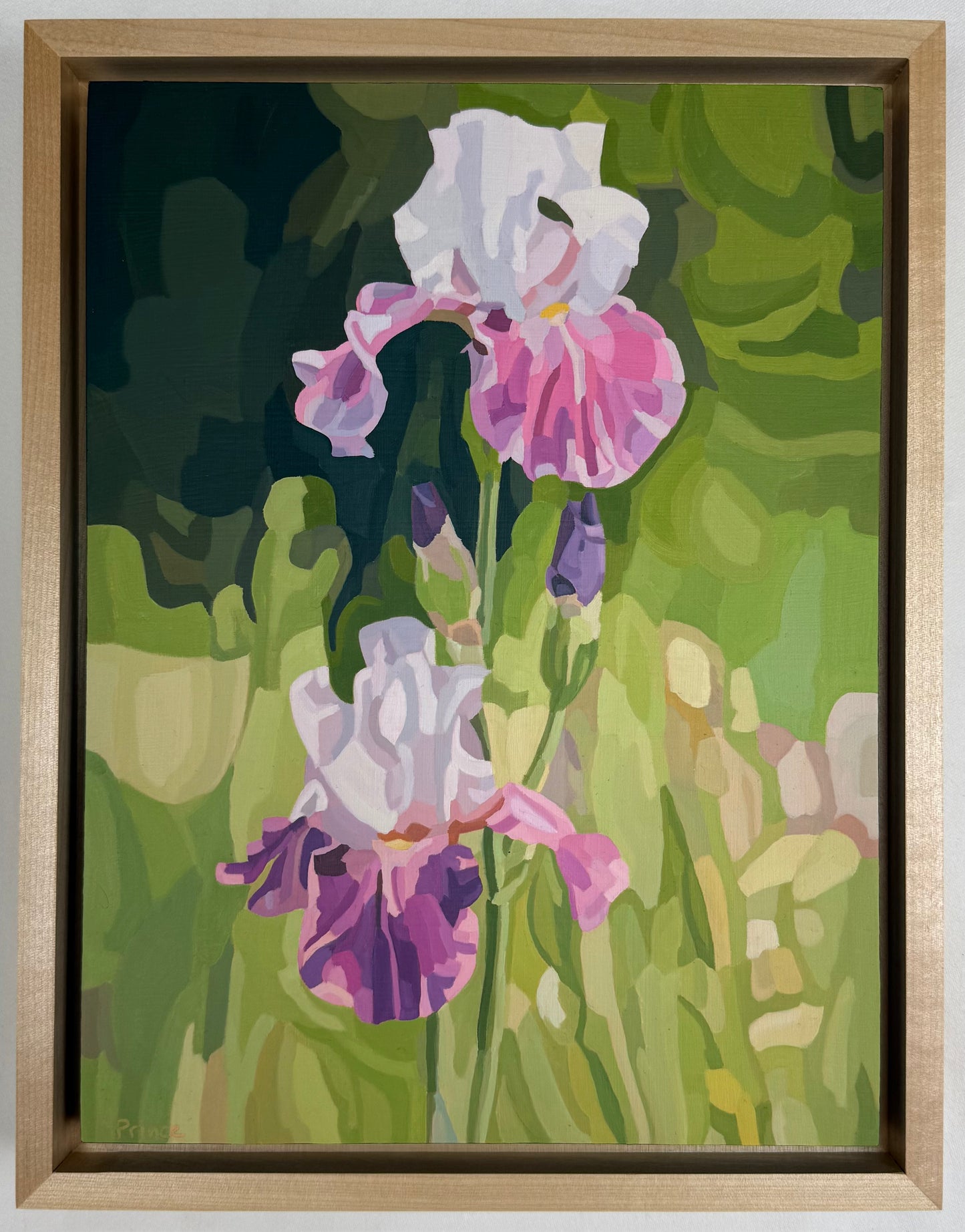 Irises in Bloom