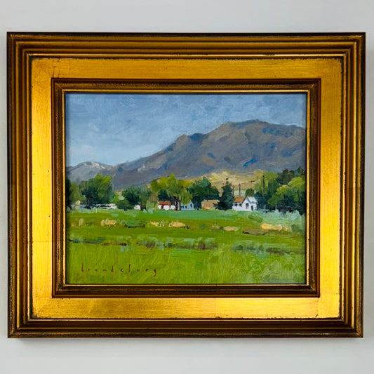Homestead
