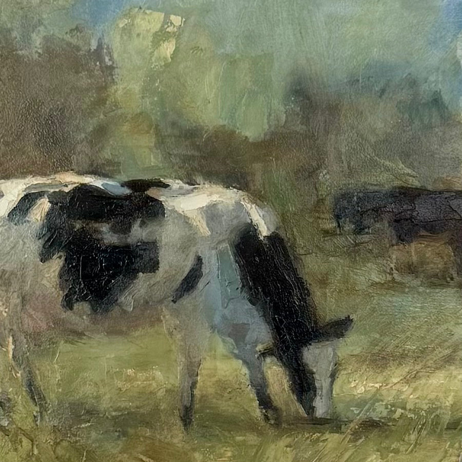 Cattle in Spring