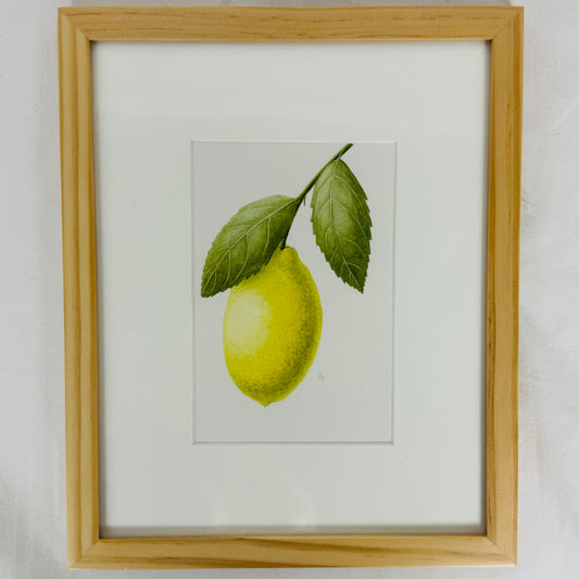 Meyer Lemon