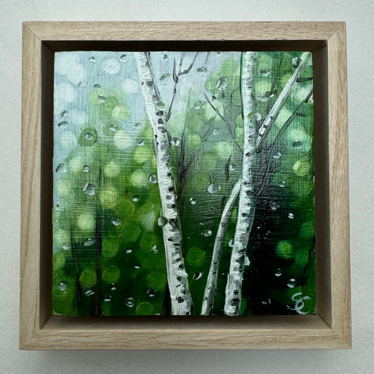 Rainy Aspens