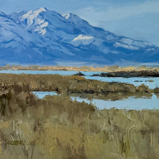 Utah Lake Wetlands