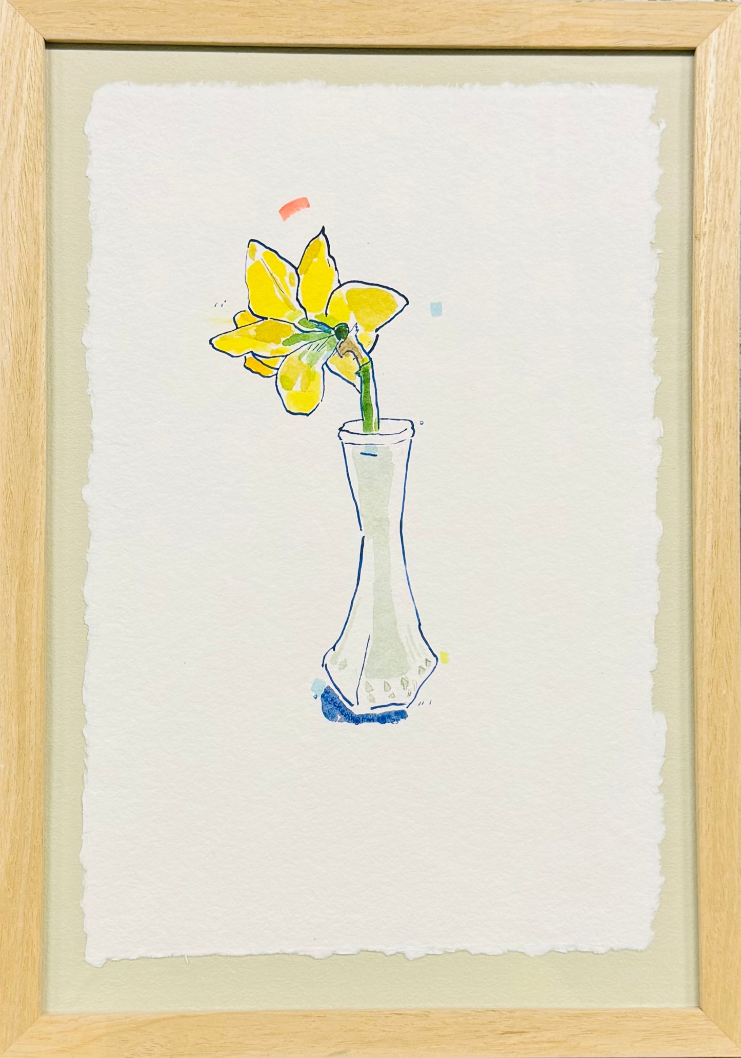 Shy Daffodil