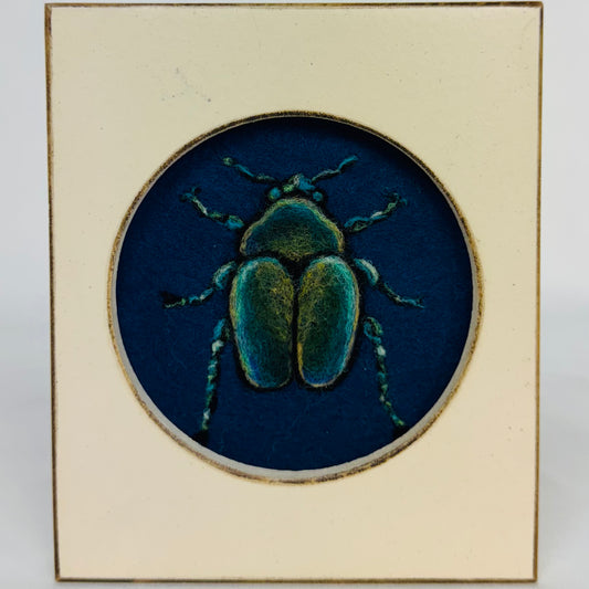 Beetle in Blue