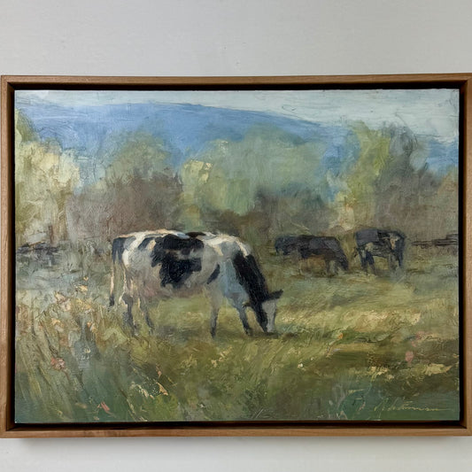 Cattle in Spring