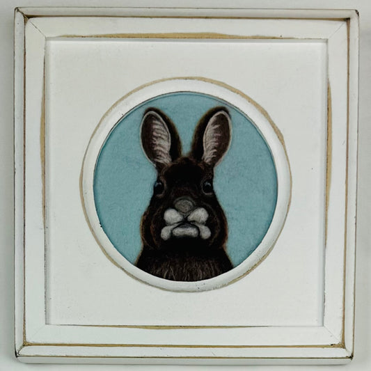 Brown Bunny