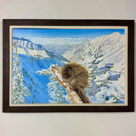 Porcupine at Snowbird