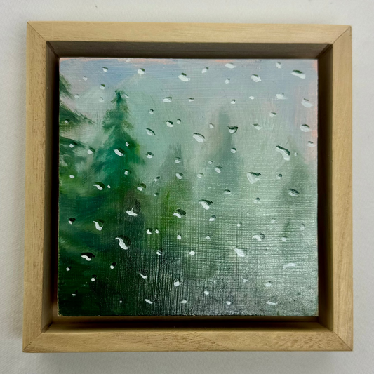 Rainy Pines 5