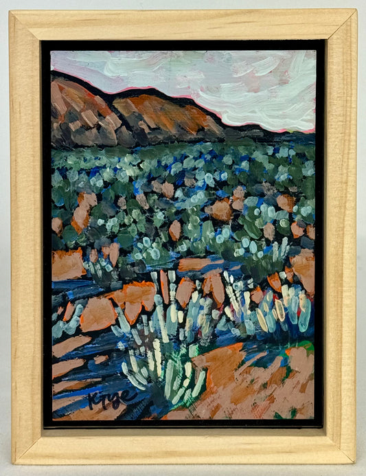 Snow Canyon