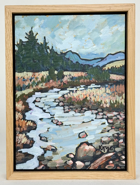 Winter Stream