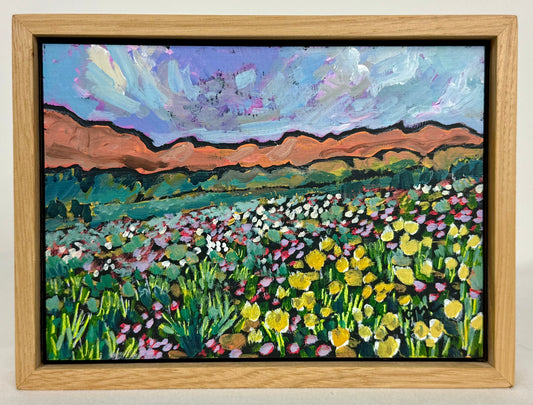 Timpanogos Meadow