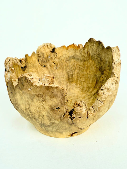 Box Elder Burl Bowl