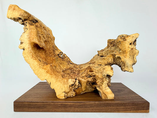 Box Elder Sculpture