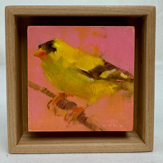 Goldfinch on Pink